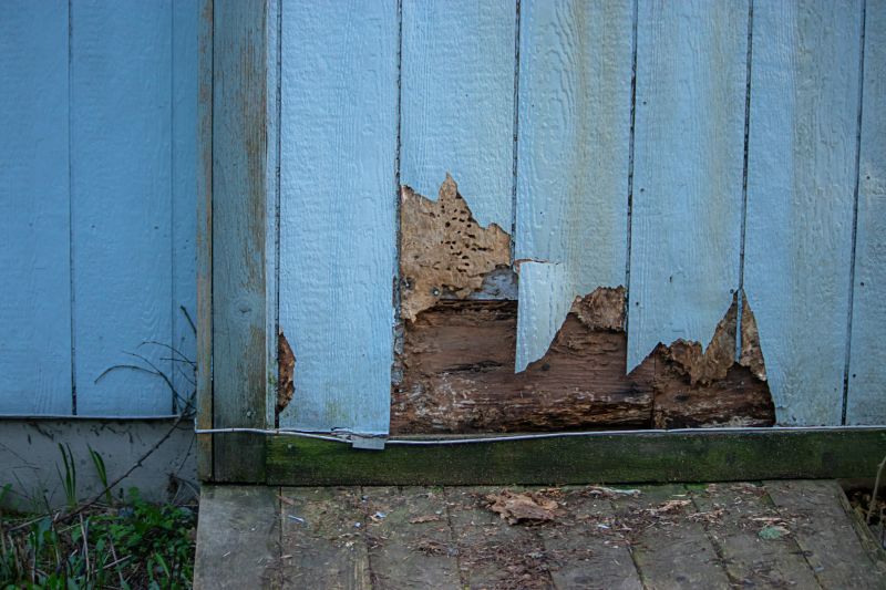 Siding Repair Projects
